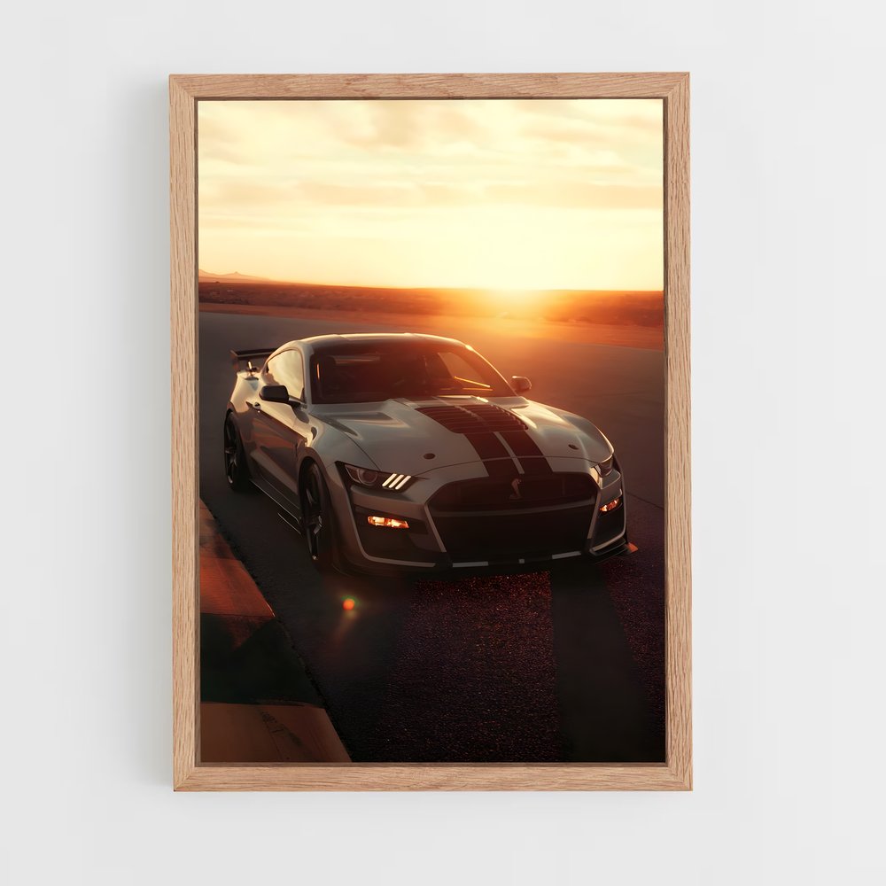 Poster Shelby raffiné (vue 4)