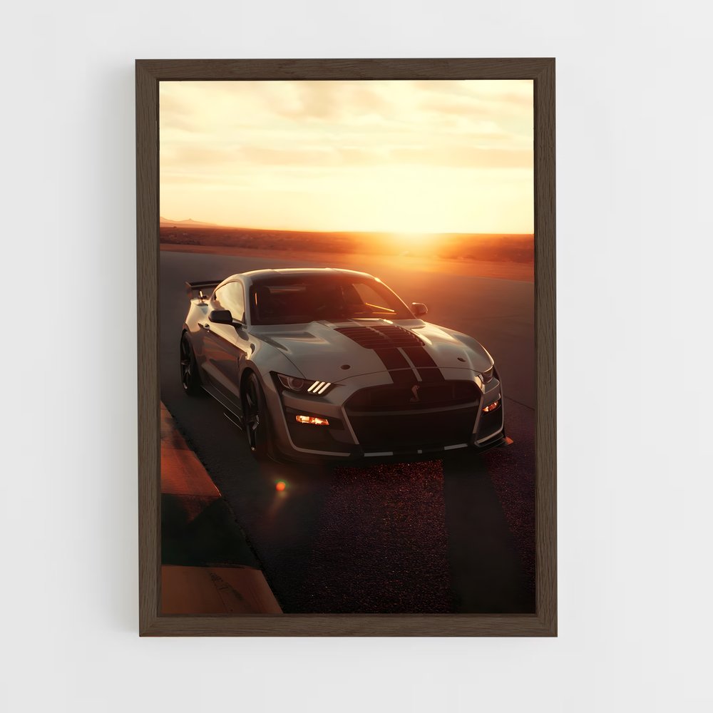 Poster Shelby raffiné (vue 5)