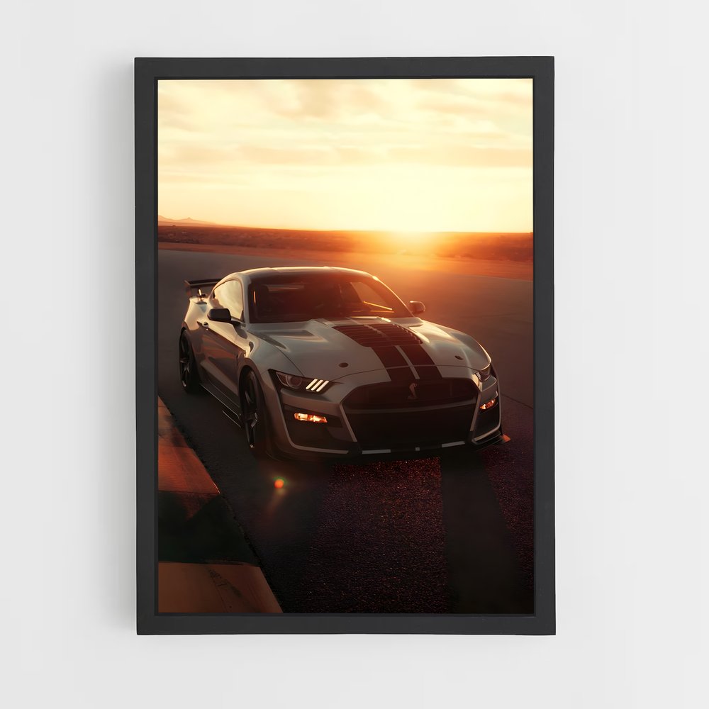 Poster Shelby raffiné (vue 2)