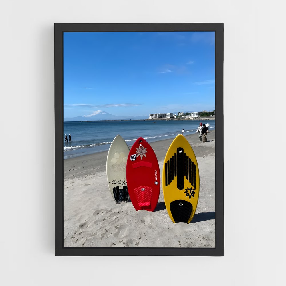 Poster Skimboard vagues (vue 2)
