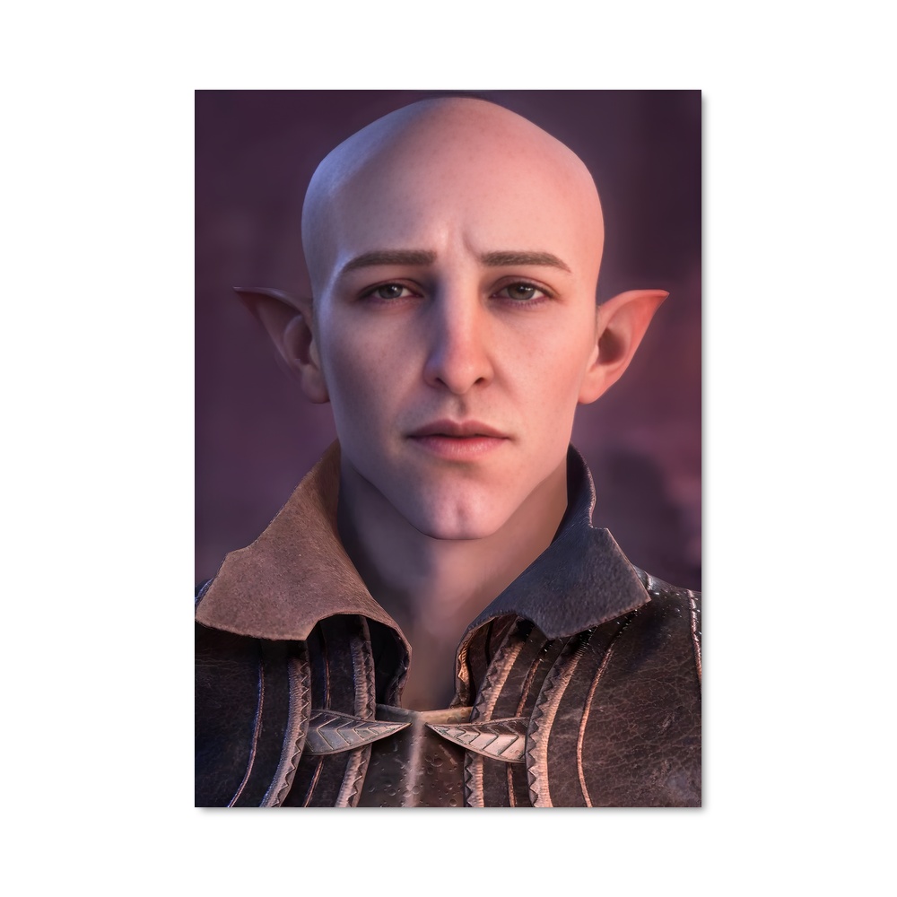 Poster L'Art de la Calvitie – affiche Dragon age