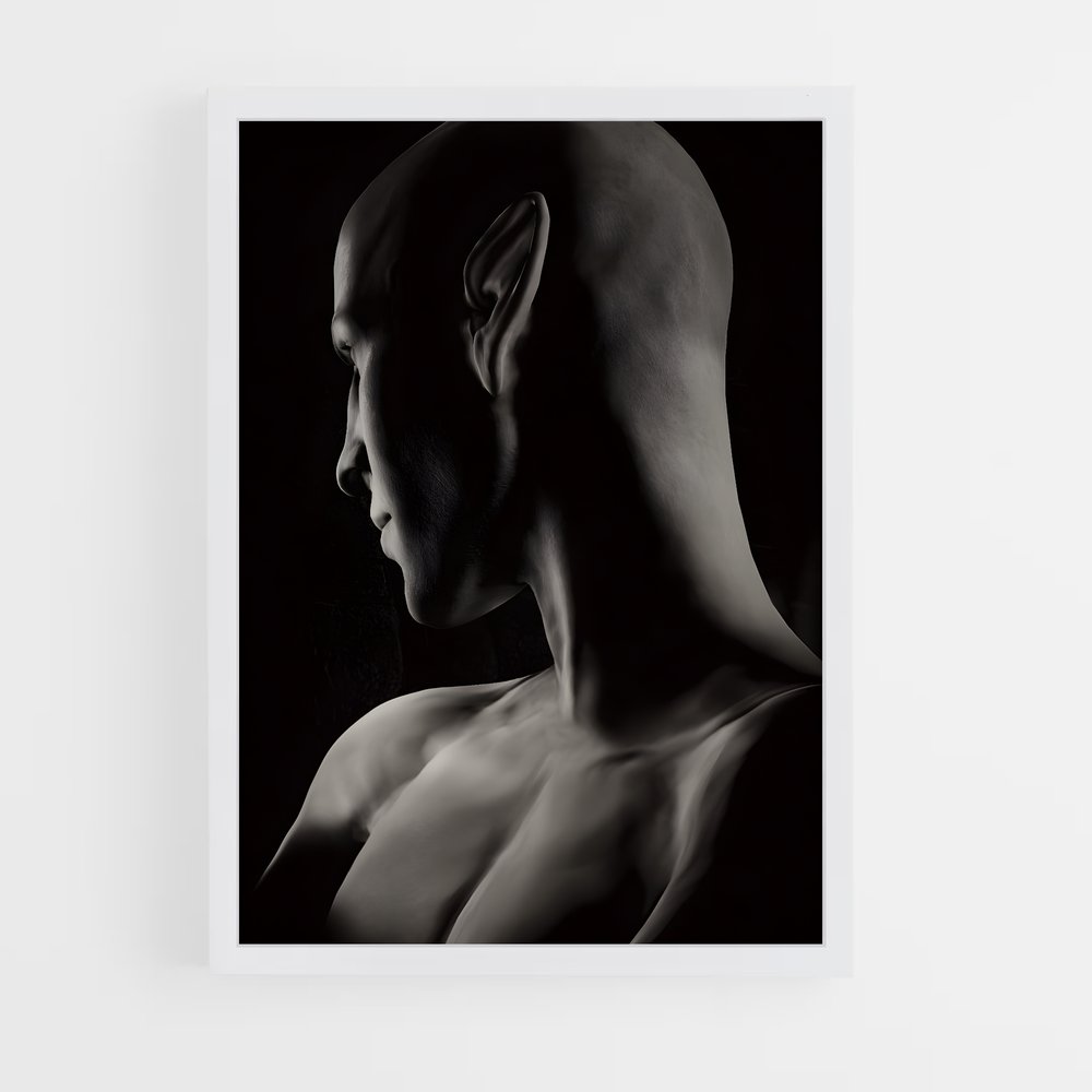 Poster L'Énigme du Bouffon – affiche Dragon age (vue 3)