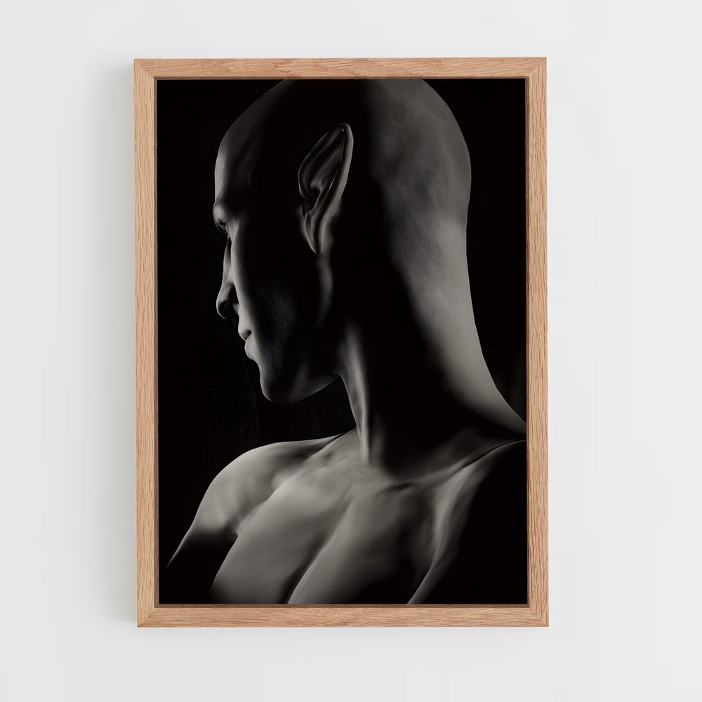 Poster L'Énigme du Bouffon – affiche Dragon age (vue 4)