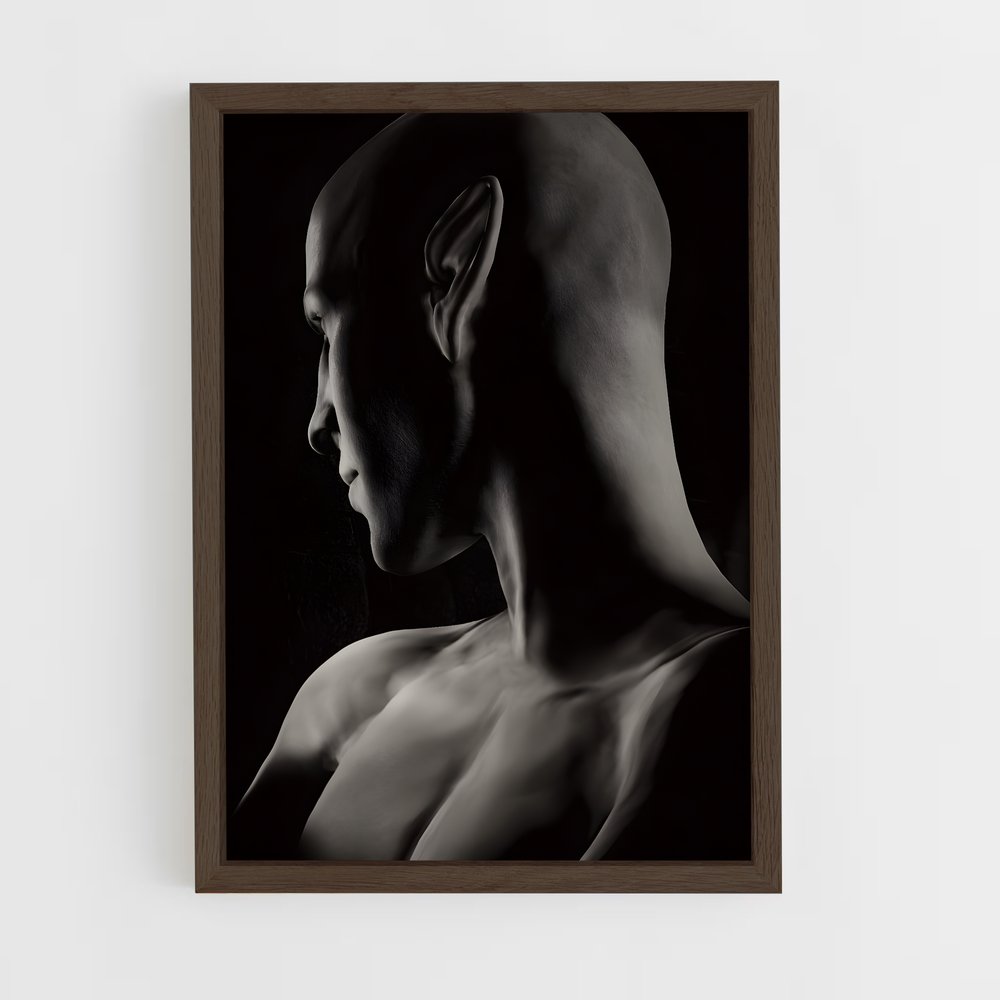 Poster L'Énigme du Bouffon – affiche Dragon age (vue 5)