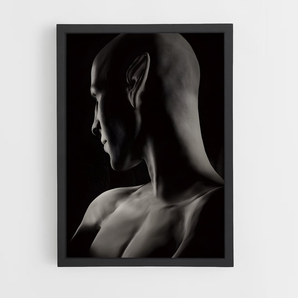 Poster L'Énigme du Bouffon – affiche Dragon age (vue 2)