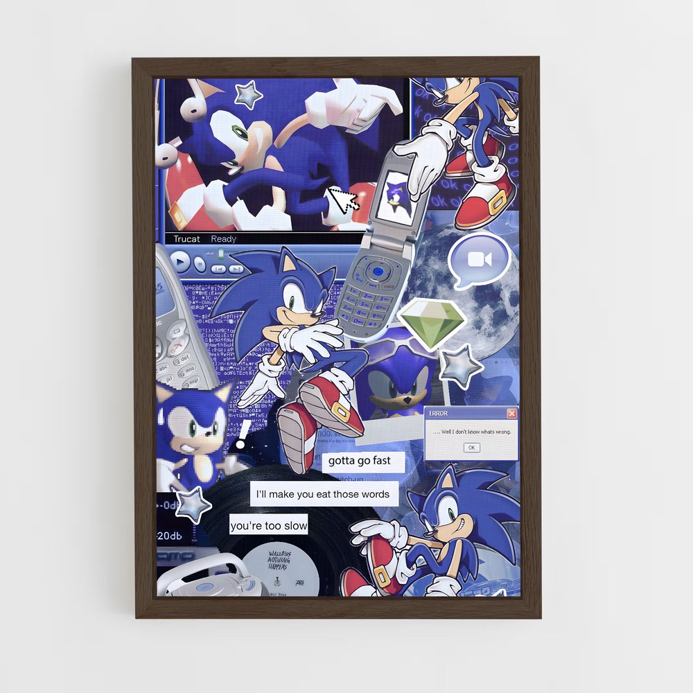 Poster Sonic Speedster (vue 5)