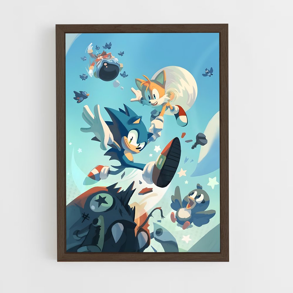 Poster Sonic de Vitesse (vue 5)