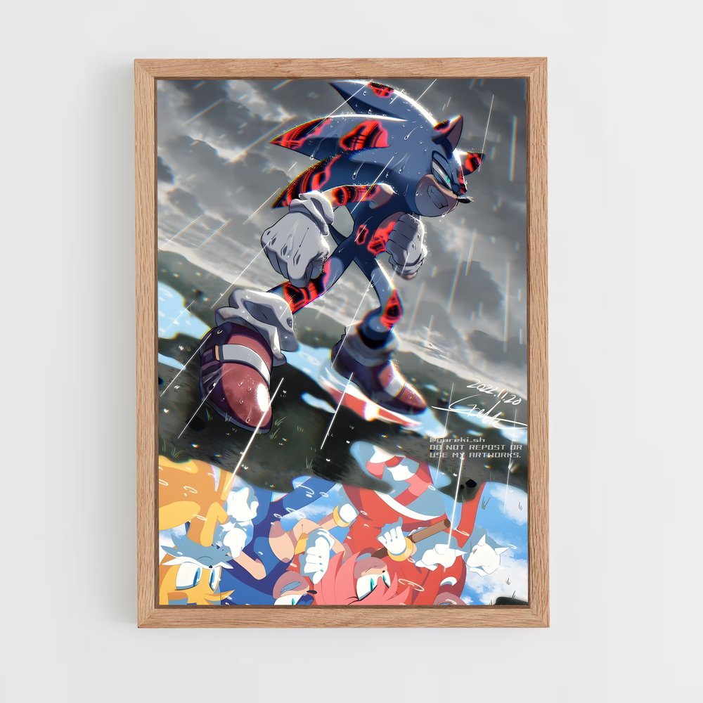 Poster Sonic Cat (vue 4)