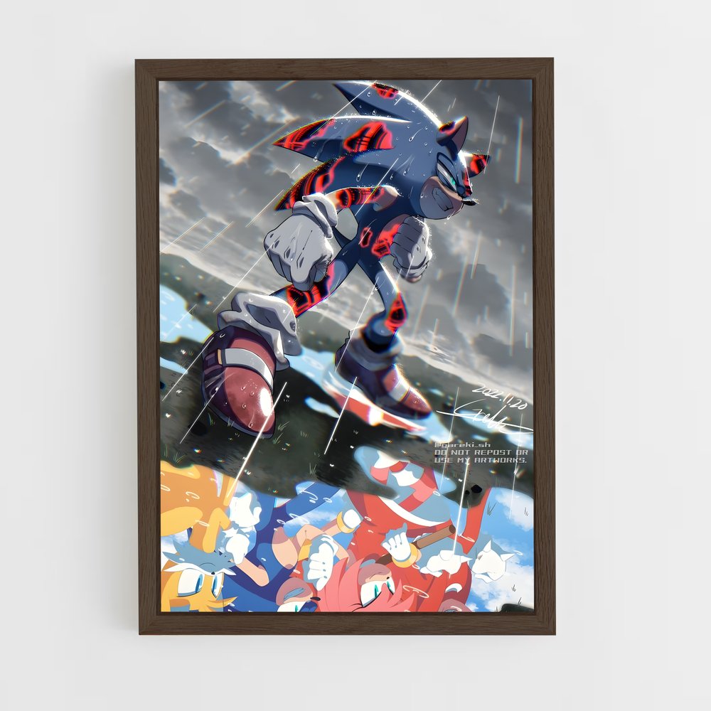 Poster Sonic Cat (vue 5)