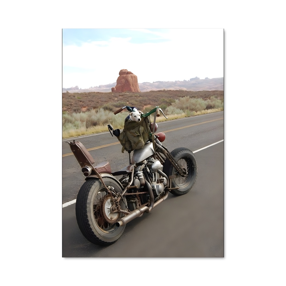 Poster Route du Motard