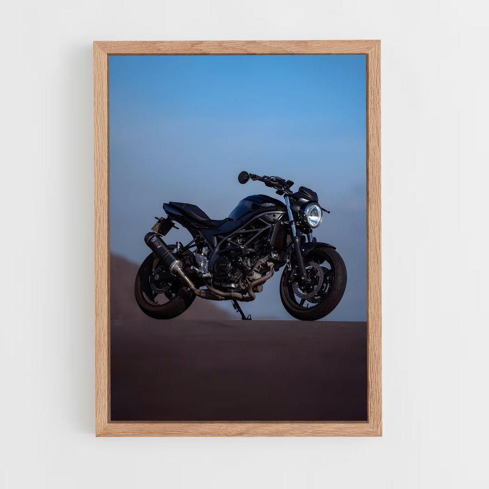 Poster L'Échappée Marine (vue 4)
