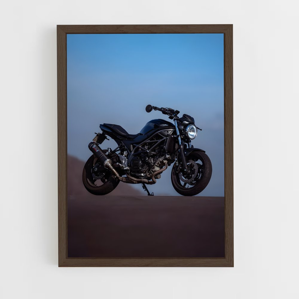 Poster L'Échappée Marine (vue 5)