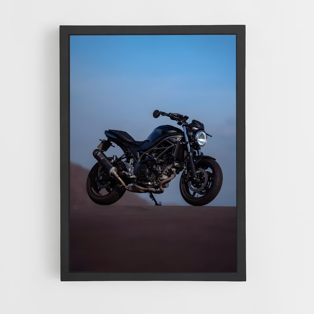 Poster L'Échappée Marine (vue 2)