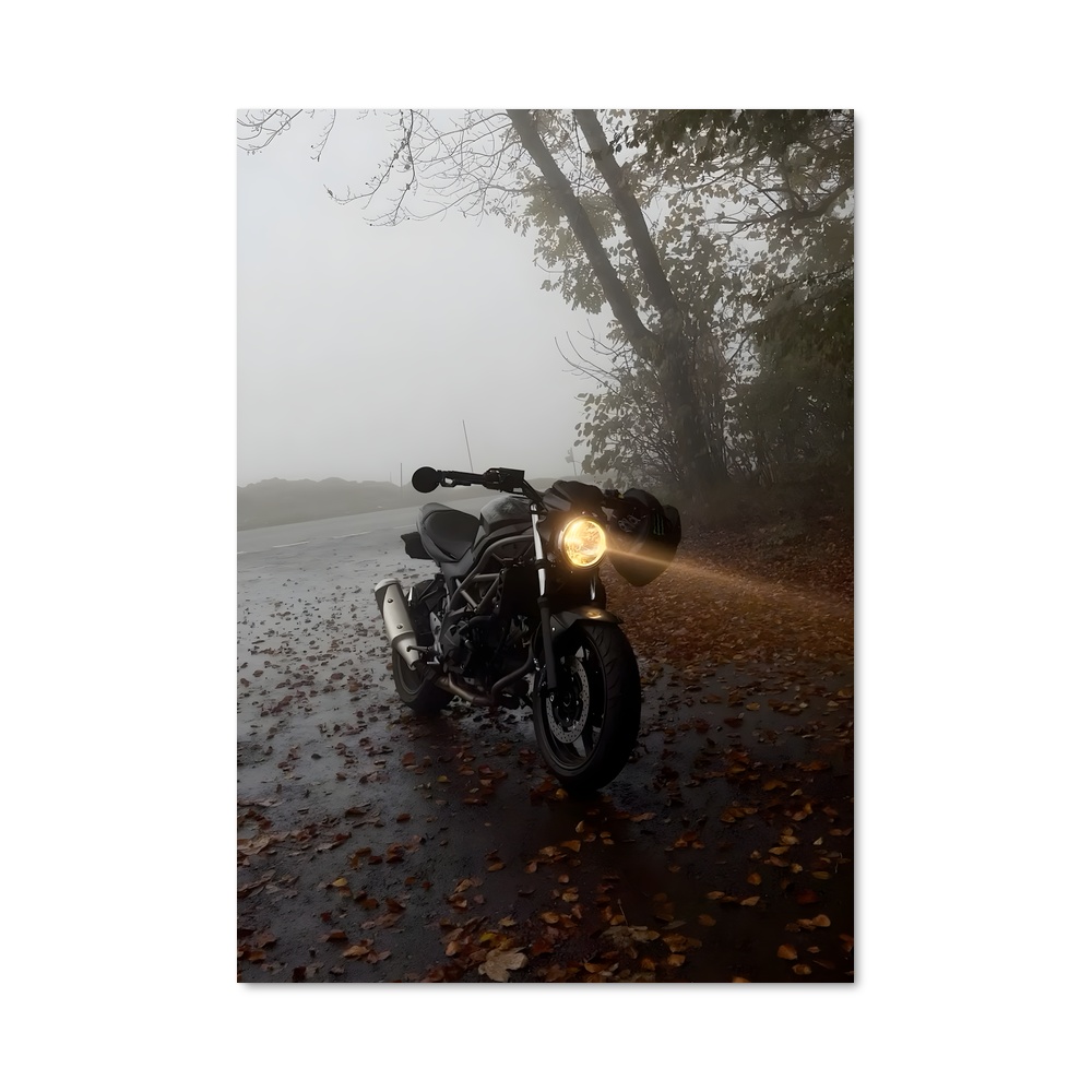 Poster Splendide Sv