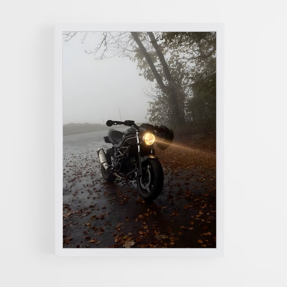 Poster Splendide Sv (vue 3)