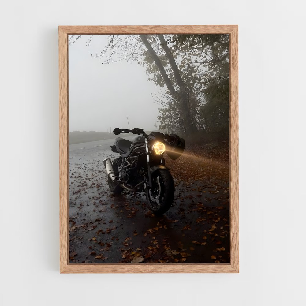 Poster Splendide Sv (vue 4)