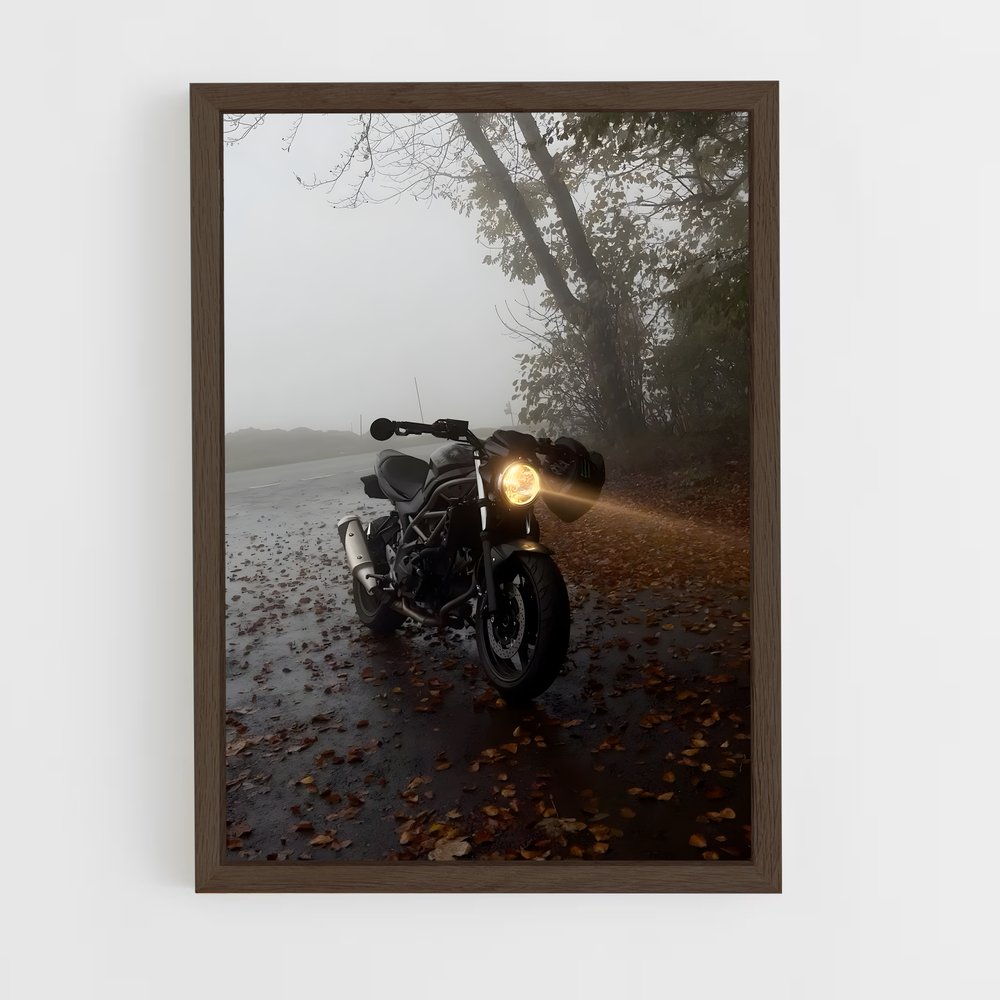Poster Splendide Sv (vue 5)