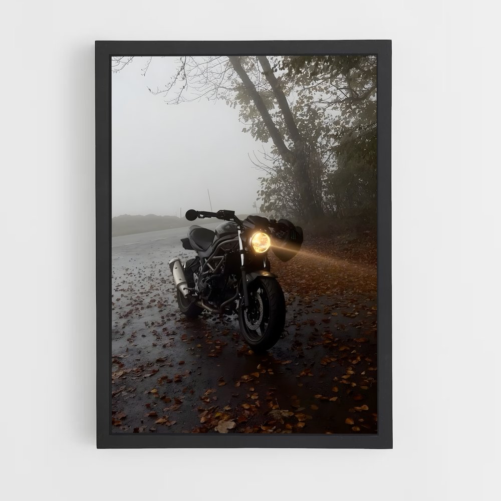 Poster Splendide Sv (vue 2)