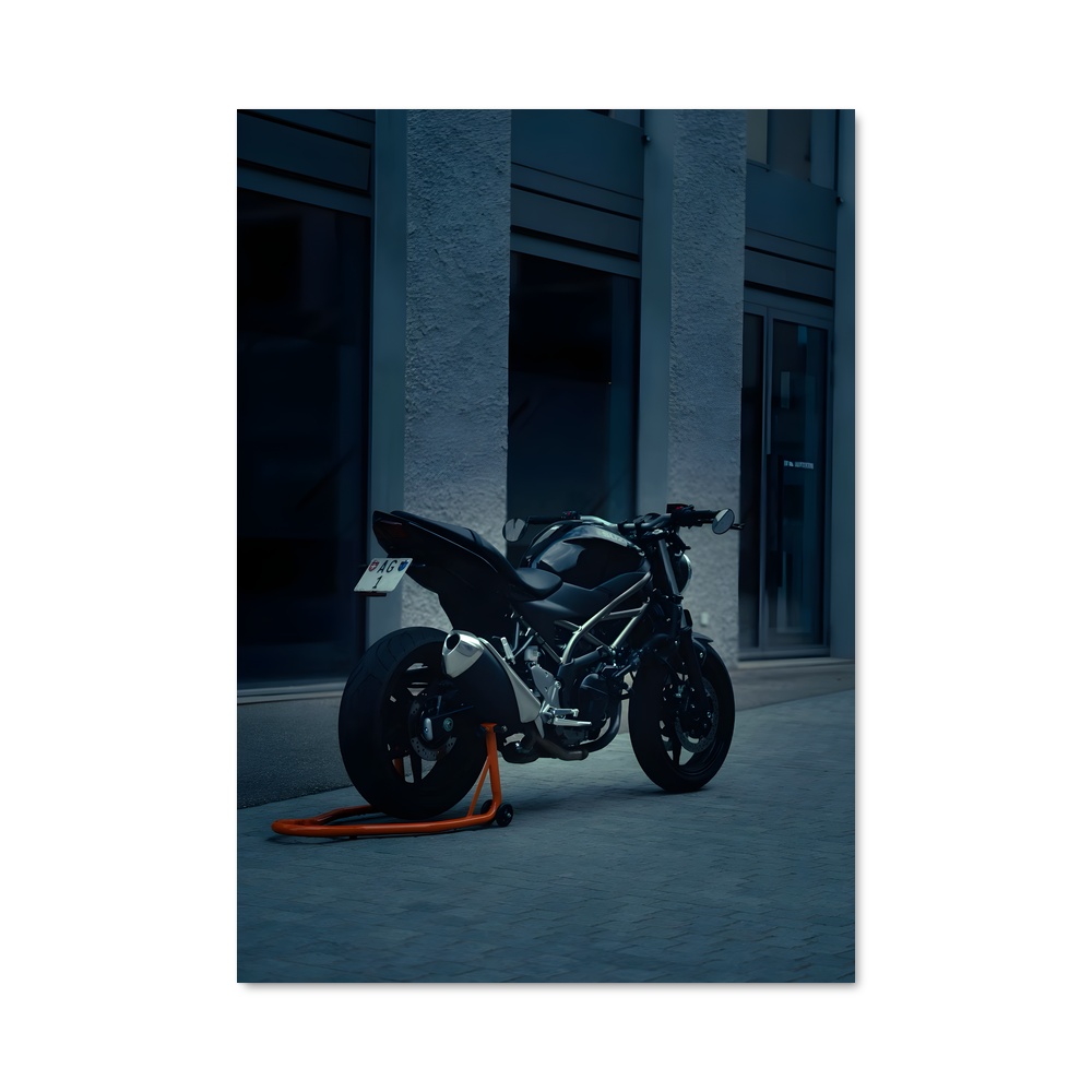 Poster Sv650 Éclatant