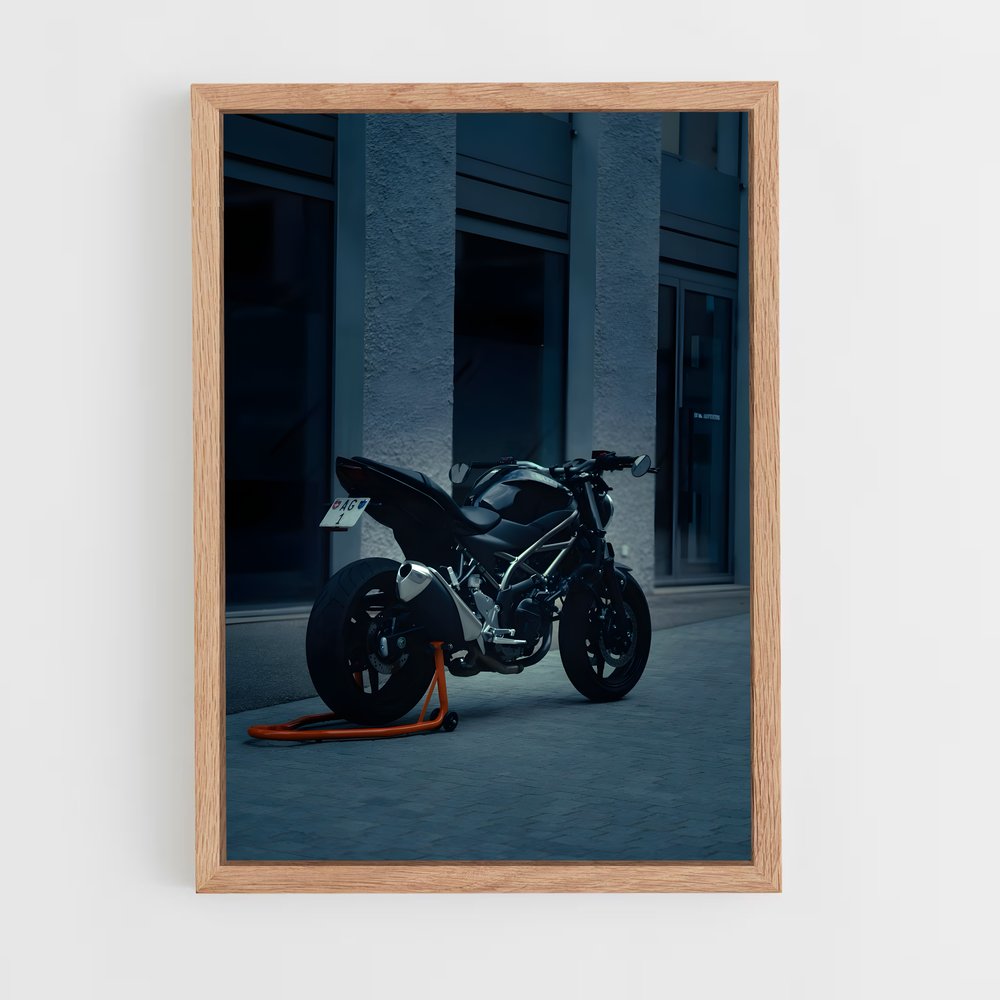Poster Sv650 Éclatant (vue 4)