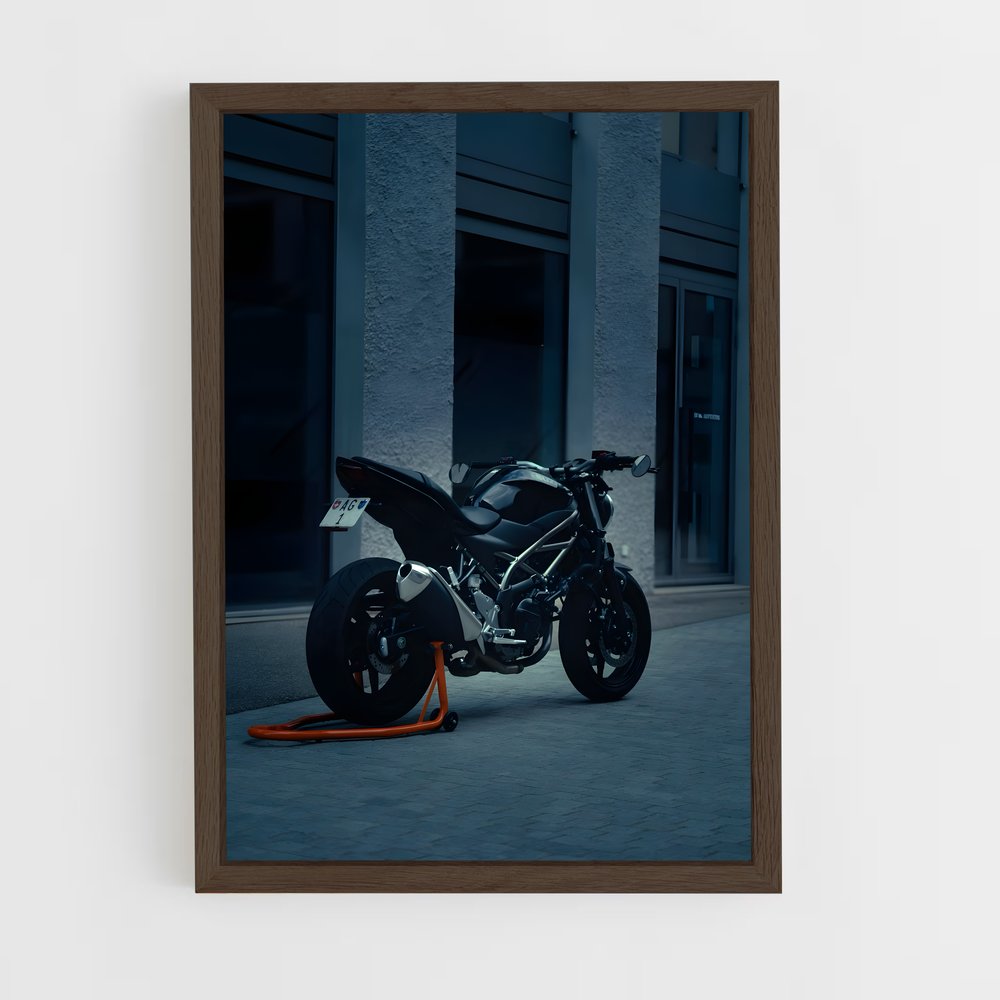 Poster Sv650 Éclatant (vue 5)