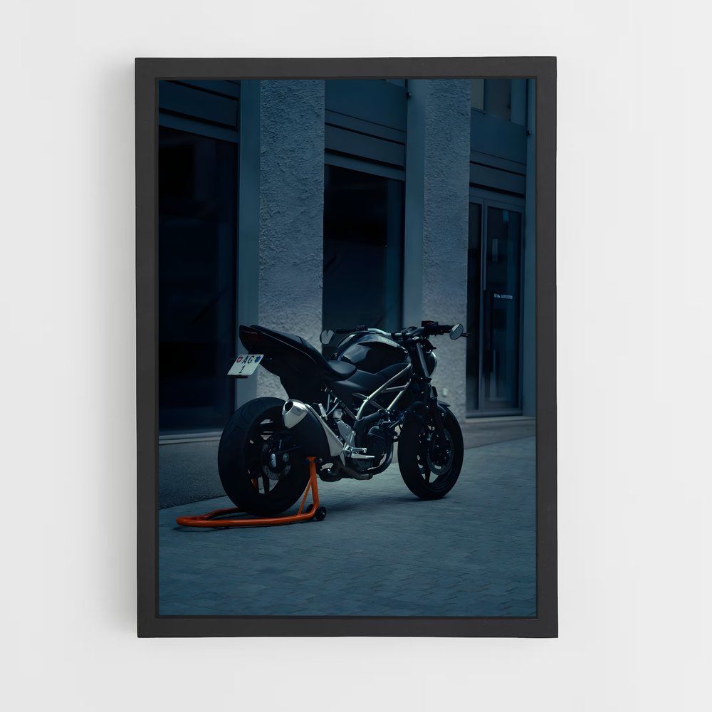 Poster Sv650 Éclatant (vue 2)