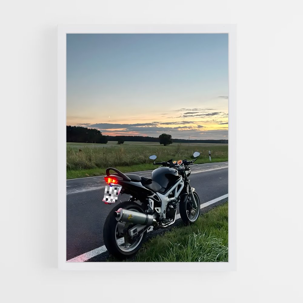 Poster Sv élégant (vue 3)