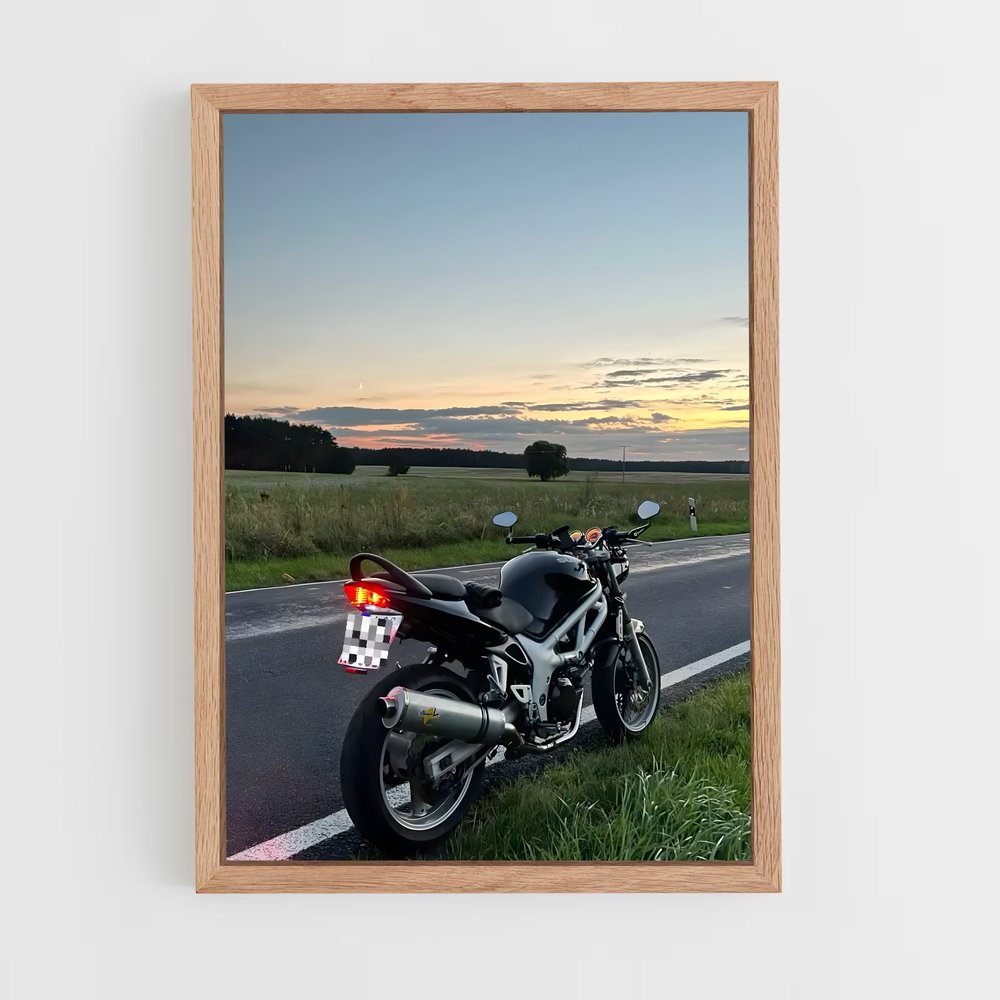 Poster Sv élégant (vue 4)