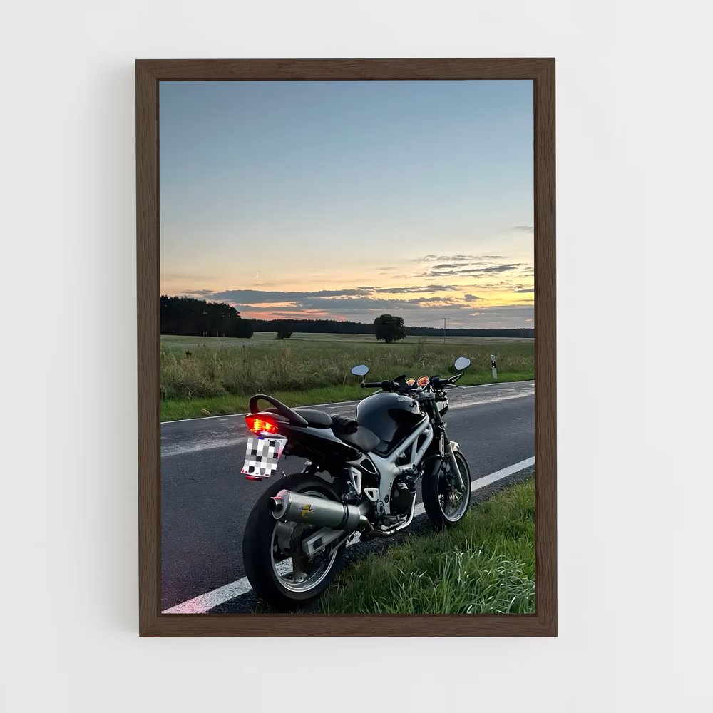 Poster Sv élégant (vue 5)