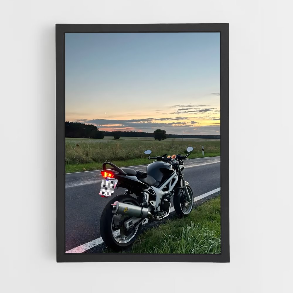 Poster Sv élégant (vue 2)