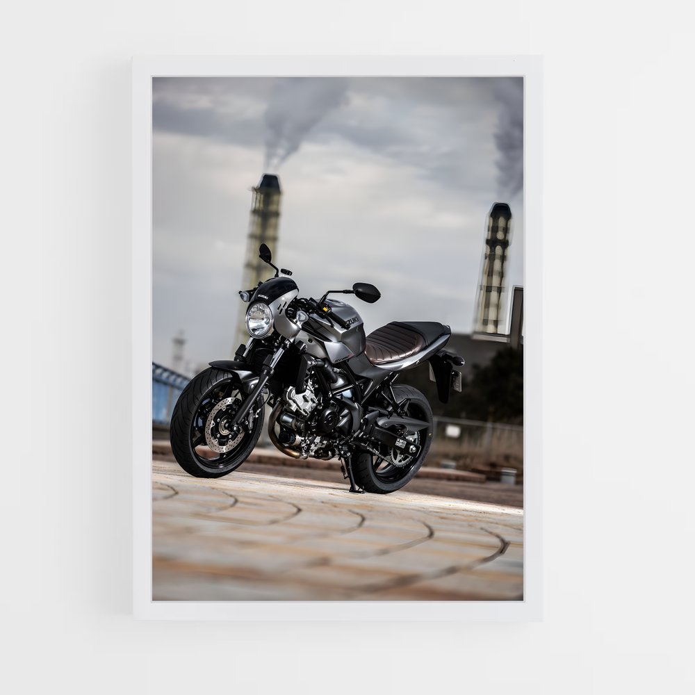 Poster Roadside Rebel (vue 3)