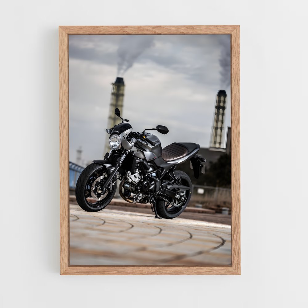Poster Roadside Rebel (vue 4)