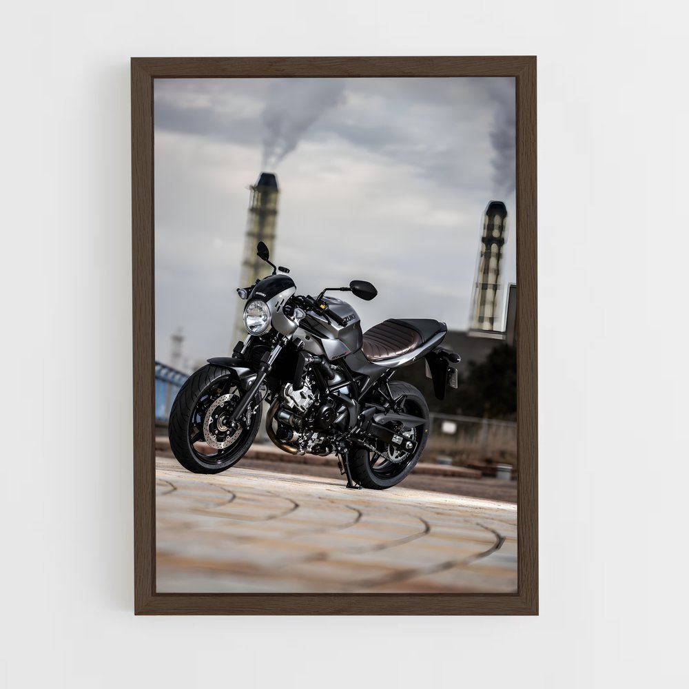 Poster Roadside Rebel (vue 5)