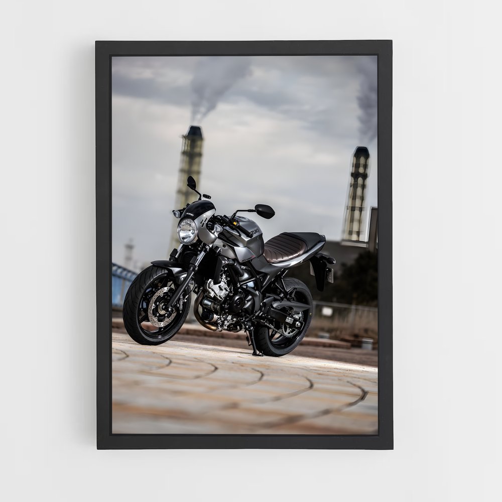 Poster Roadside Rebel (vue 2)