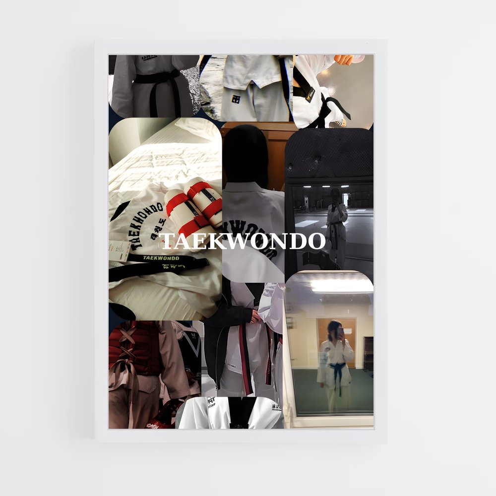 Poster Taekwondo dojo (vue 3)