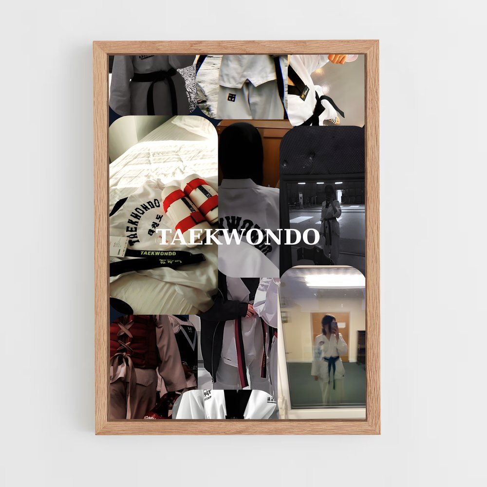 Poster Taekwondo dojo (vue 4)