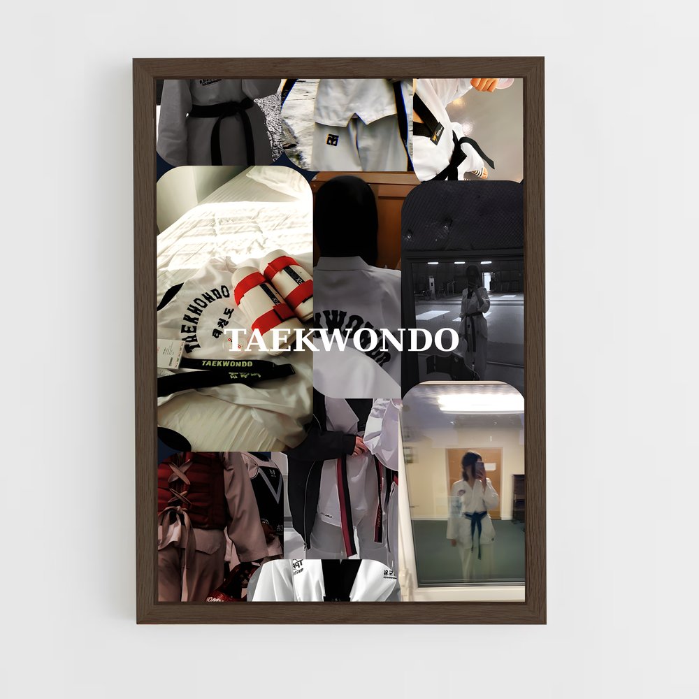 Poster Taekwondo dojo (vue 5)