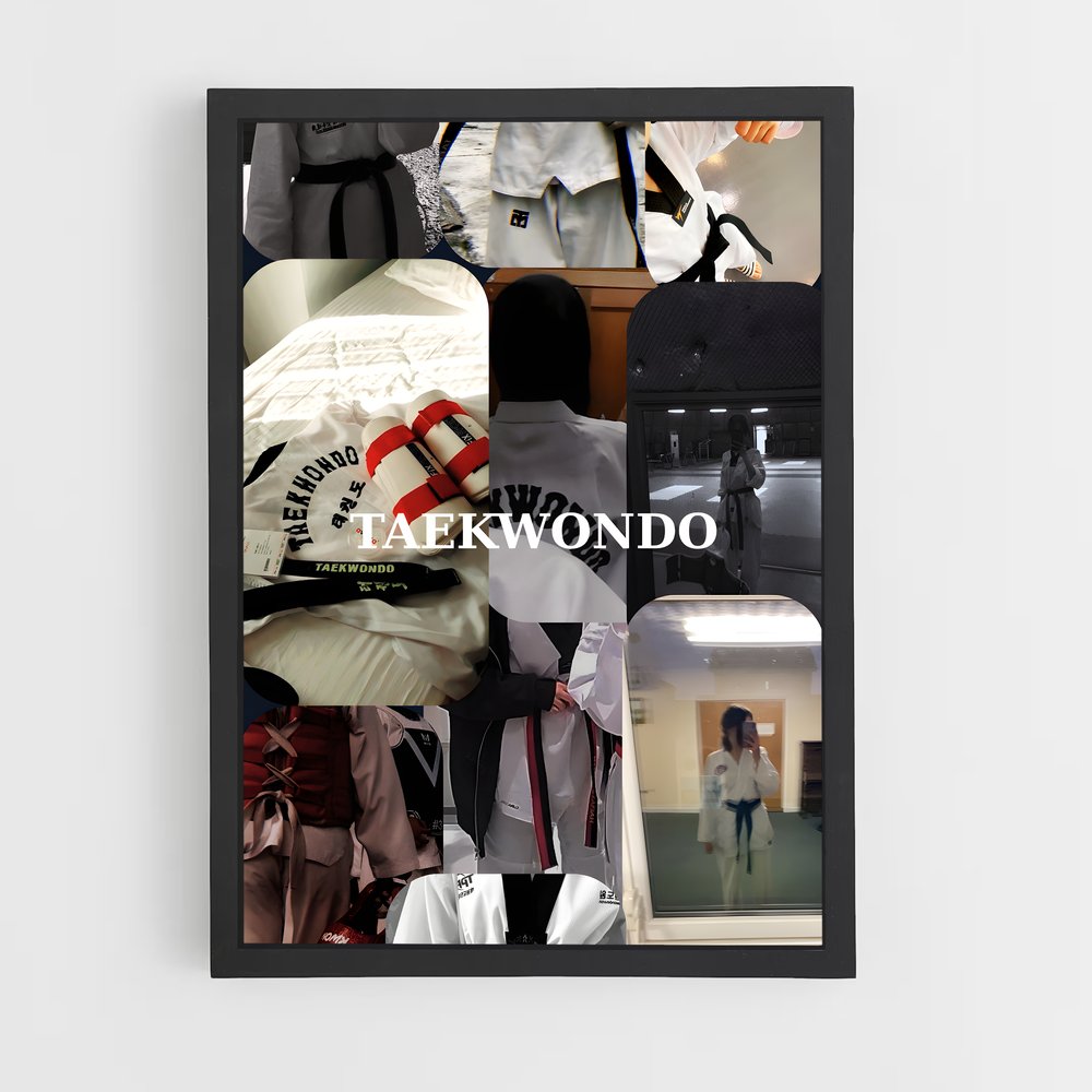 Poster Taekwondo dojo (vue 2)