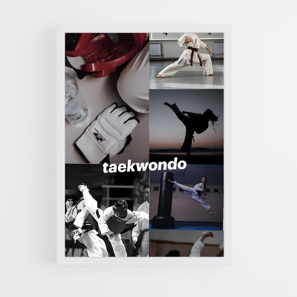 Poster Maître du Taekwondo (vue 3)