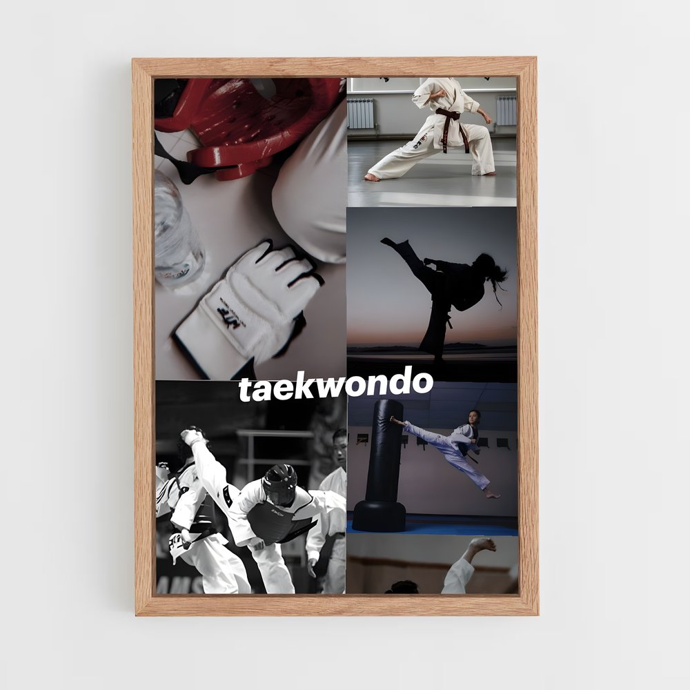 Poster Maître du Taekwondo (vue 4)