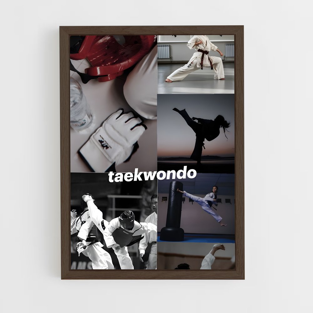Poster Maître du Taekwondo (vue 5)