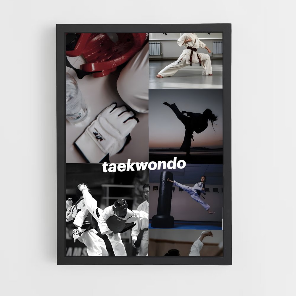 Poster Maître du Taekwondo (vue 2)