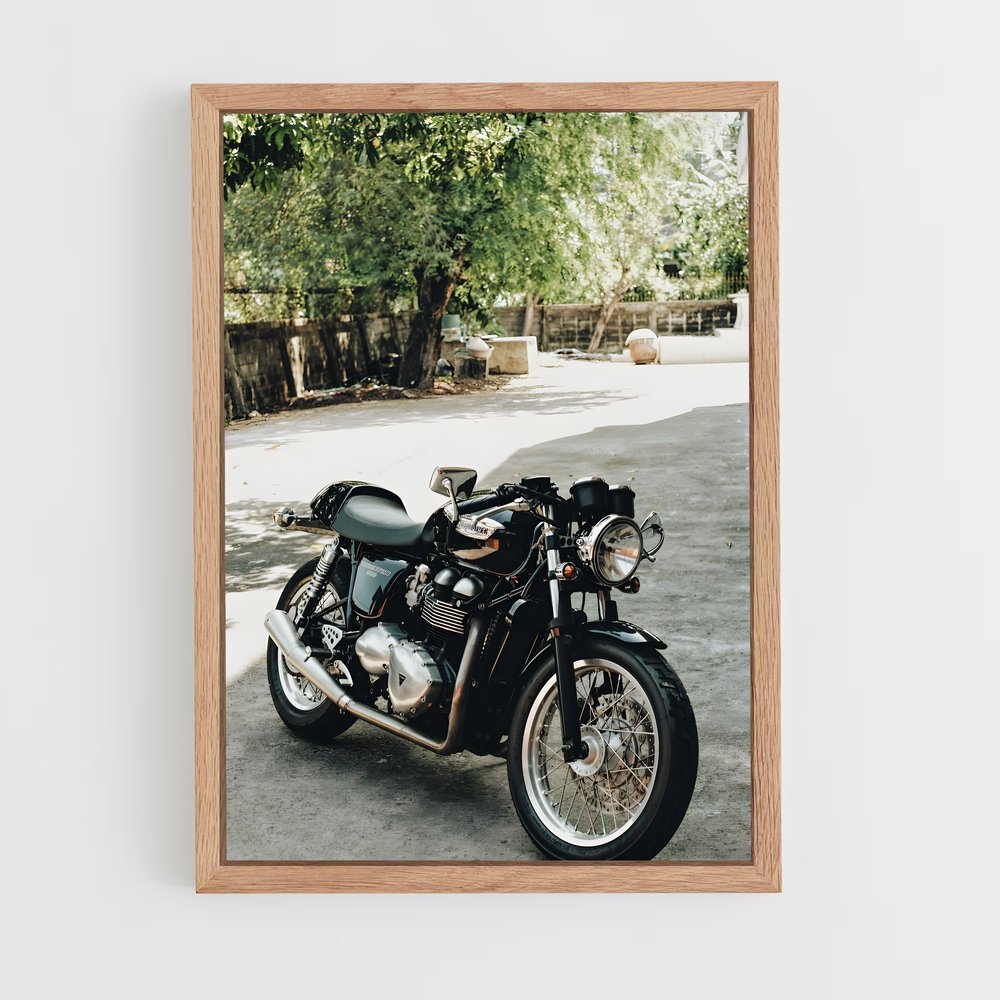 Poster envoûtant de Thruxton – affiche Triumph (vue 4)