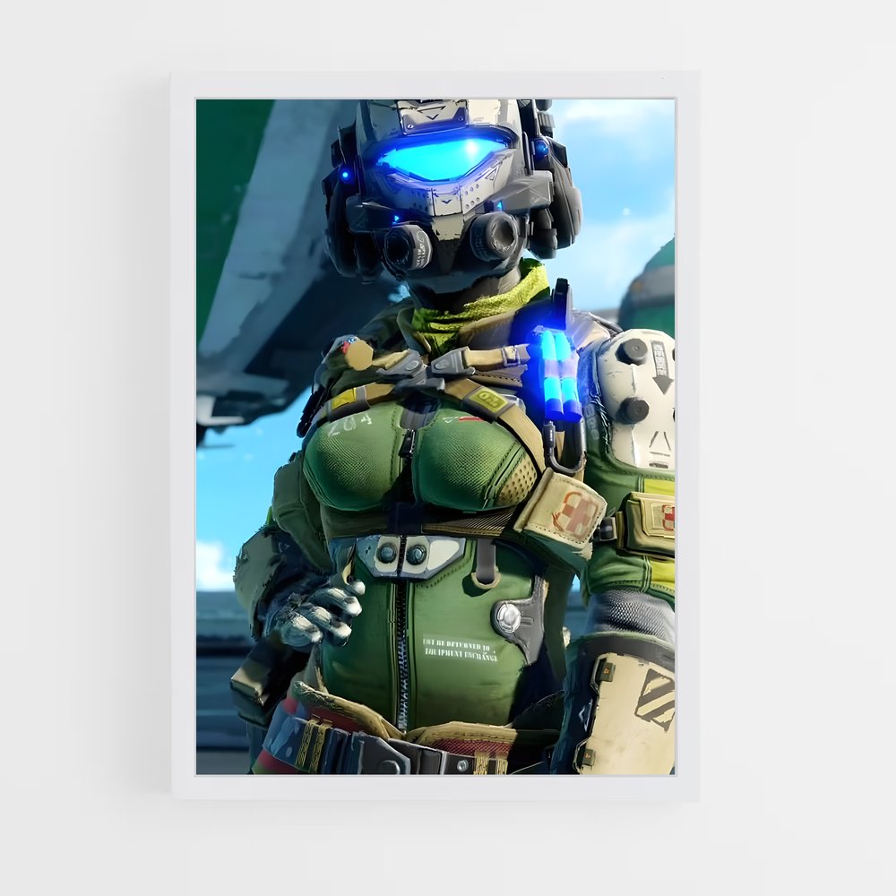 Poster Titanfall : Préparations Aériennes (vue 3)