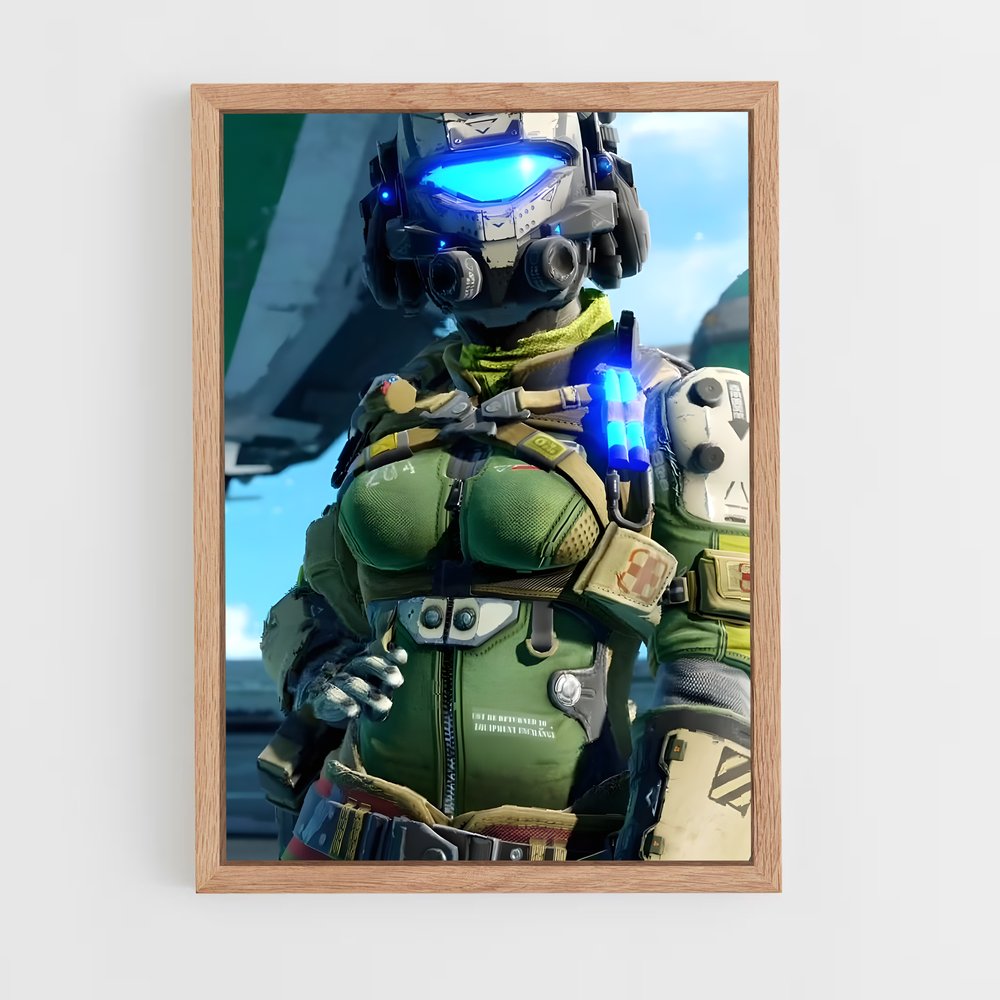 Poster Titanfall : Préparations Aériennes (vue 4)
