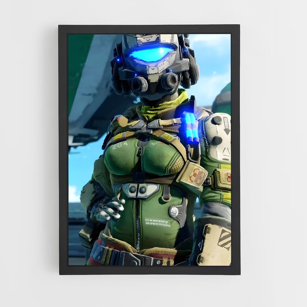 Poster Titanfall : Préparations Aériennes (vue 2)