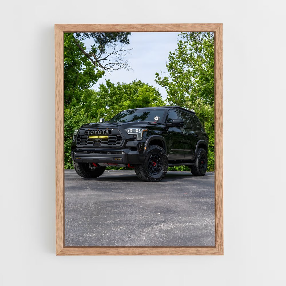 Poster Tacoma Adventure – affiche Toyota (vue 4)