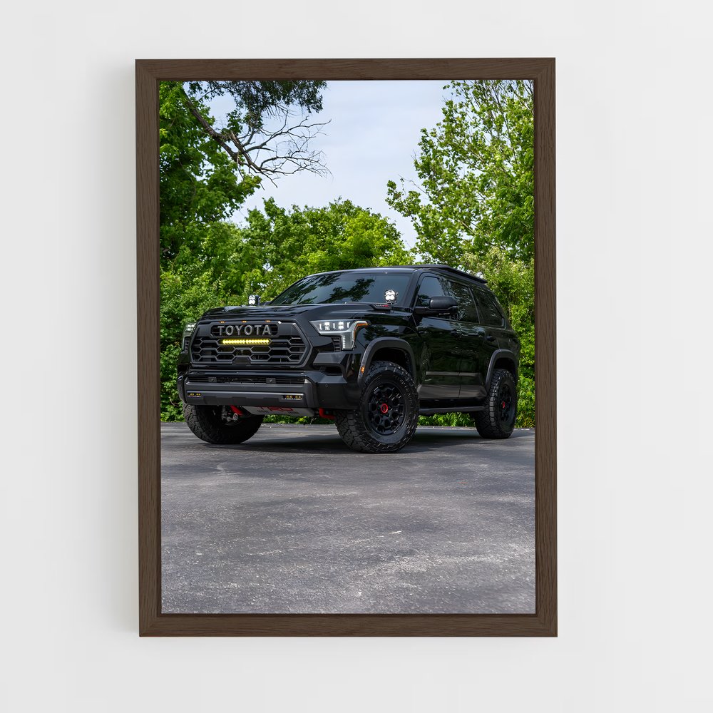 Poster Tacoma Adventure – affiche Toyota (vue 5)