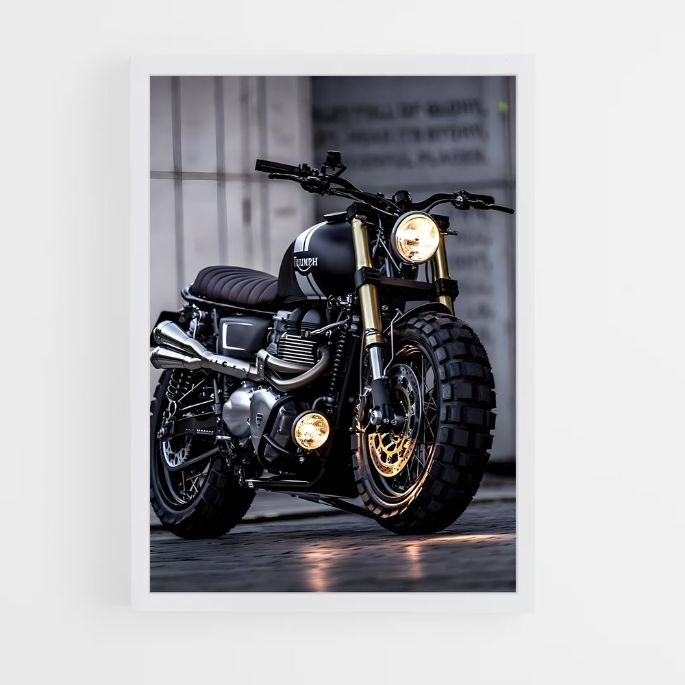 Poster Éclat Triomphal – affiche Triumph (vue 3)