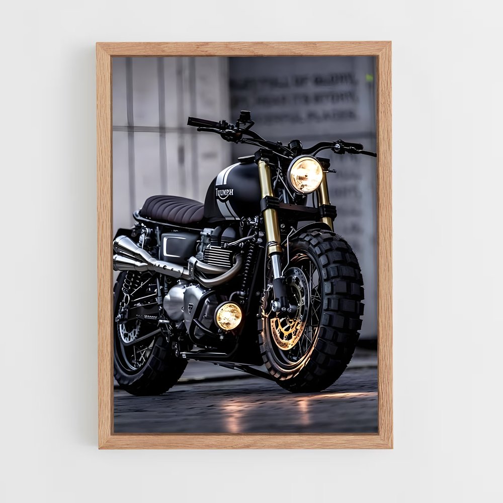 Poster Éclat Triomphal – affiche Triumph (vue 4)
